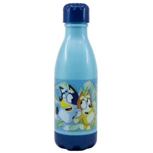Picture of BLUEY BOTTLE 560ML